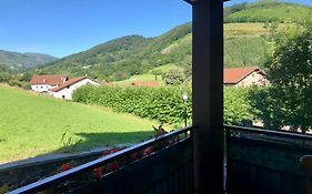 Apartamento Rural Areso - Fraxkuenea